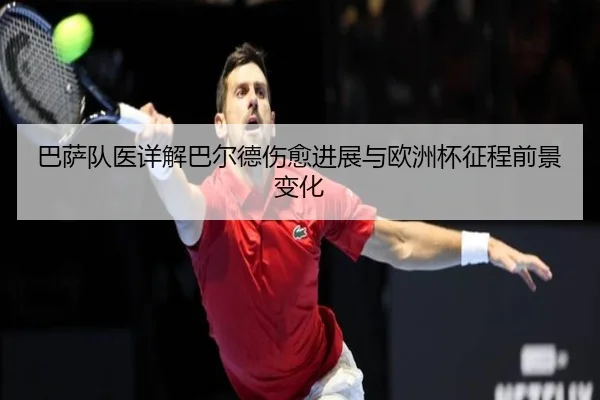 ba-sa-dui-yi-xiang-jie-ba-er-de-shang-yu-jin-zhan-yu-ou-zhou-bei-zheng-cheng-qian-jing-bian-hua-3-260.jpg